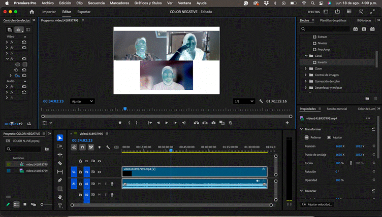 Screenshot of color negative effect in Adobe Premiere Pro. Image includes program editing and setting tools.